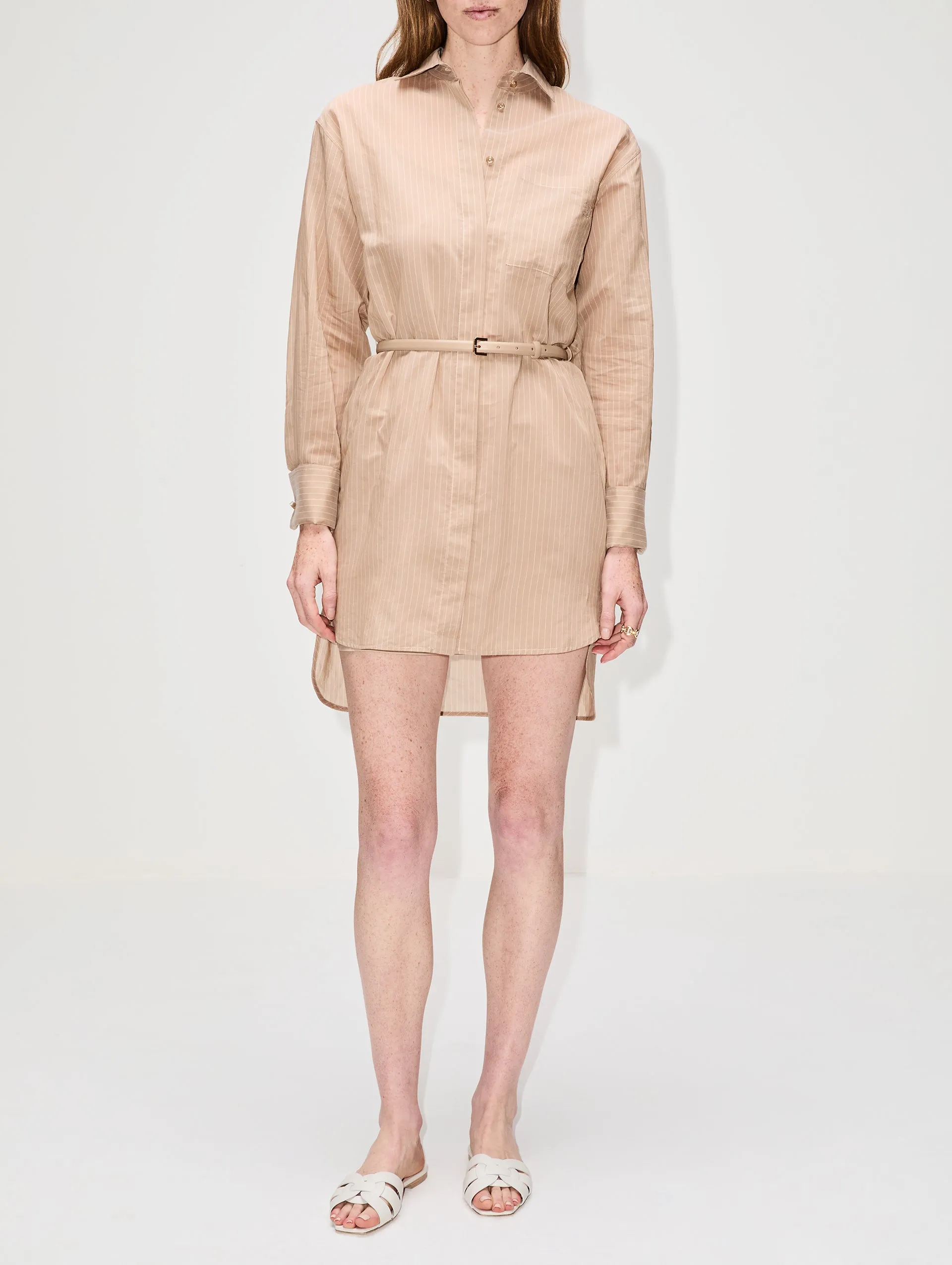 Brioso Button Up Dress